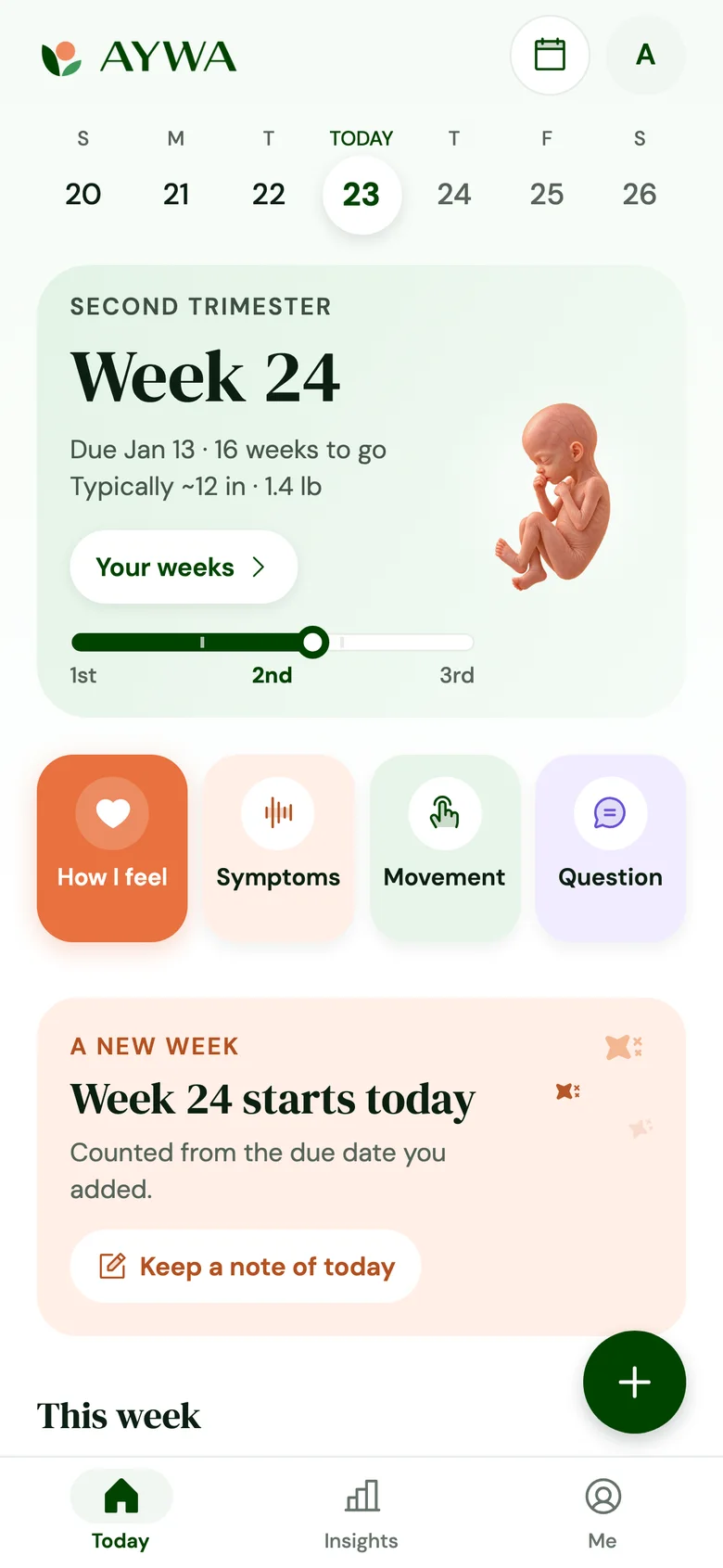 AYWA’s Today screen at 24 weeks pregnant: the week, due date, and quick logging for how you feel, symptoms and movement.